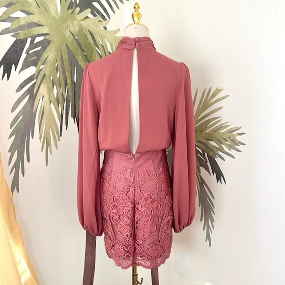 Skylar Rose,ASOS.Rich Mauve, Incredibly Slimming, Embroidered Lace Dress,Size S - Picture 4 of 12